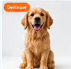 Pet em Miniatura
