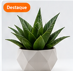 Vaso Geométrico